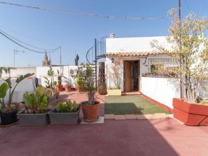 einen Innenhof mit Topfpflanzen vor einem Haus in der Unterkunft Federico rubio in Sevilla