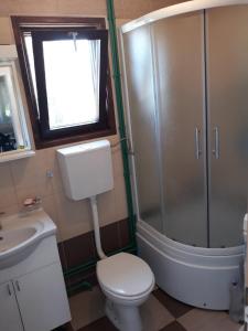 a bathroom with a shower and a toilet and a sink at Zlatiborska seoska idila in Zlatibor +38 photos