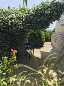 Kép Kalimera Apartments szállásáról Kivériben a galériában