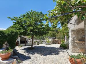 Zahrada ubytování Villa Diny with Pool