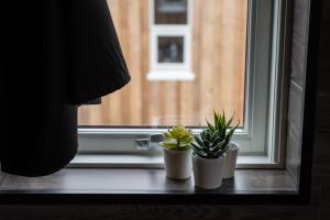 dos macetas sentadas en el alféizar de una ventana en Dalahyttur, en Hlíð í Hörðudal