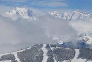 a snowy pasmo górskie z drzewami i pokrytymi śniegiem górami w obiekcie Hôtel Chalet Le Caribou w mieście Les Saisies