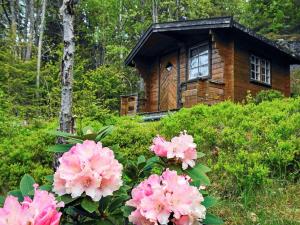 une cabane en rondins avec des fleurs roses devant elle dans l'établissement 6 person holiday home in HEN N, à Henån