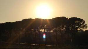 The sunrise or sunset as seen from the country house or nearby