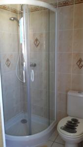 ein Badezimmer mit Dusche und Toilette in der Unterkunft Les Volets Bleus in Pornic + 59 Fotos