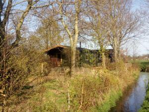 ein Haus am Flussufer mit Bäumen in der Unterkunft B&B De Flecht - De Ljip in Nijega