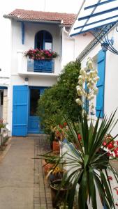 波爾尼克的住宿－Les Volets Bleus，一座有蓝色门的房子,前面有植物