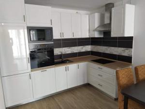 A kitchen or kitchenette at Napsugár Apartman Ezüstpart