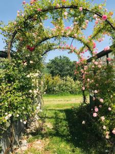 阿梅利亞的住宿－Tenuta Del Gallo，花园中玫瑰覆盖的拱门