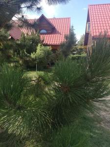 Vonkajšia záhrada v ubytovaní Agroturystyka Ruta nad zalewem Siemianówka