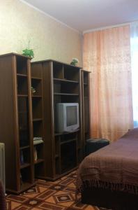 TV i/ili multimedijalni sistem u objektu Apartment on Zvezdinka