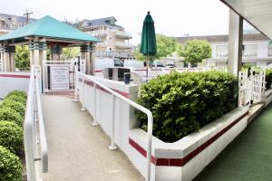 Balkón nebo terasa v ubytování Impala Island Inn