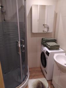 a bathroom with a shower and a washing machine at Rojas street apartments in Liepāja +8 photos