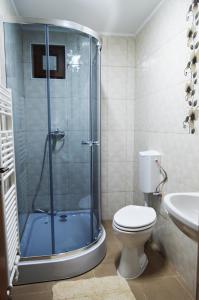 ein Badezimmer mit Dusche, Toilette und Waschbecken in der Unterkunft Pensiunea Corina Tulcea in Tulcea + 17 Fotos