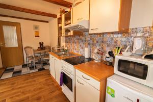 uma cozinha com um lavatório e um fogão forno superior em Apartman Charlie em Smržovka