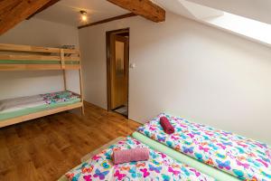 a bedroom with two bunk beds and a ladder at Apartman Charlie in Smržovka