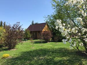 ein Haus mit einem Hof mit weißen blühenden Bäumen in der Unterkunft Na Morenie in Sieraków