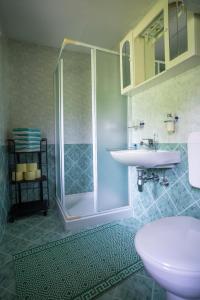 a bathroom with a shower and a sink and a toilet at Holiday Home Srednja vas in Srednja Vas v Bohinju
