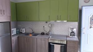 a kitchen with green cabinets and a stove top oven at Marko's Cozy Apartment in Megalochori +21 photos