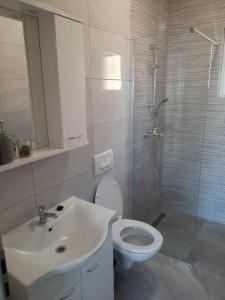 La salle de bains est pourvue de toilettes, d'un lavabo et d'une douche. dans l'établissement Apartmani Antea, à Starigrad-Paklenica