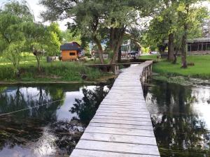 Příroda nedaleko apartmánu