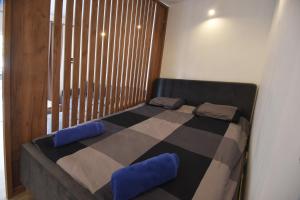 - une chambre avec un lit doté de coussins bleus et d'une fenêtre dans l'établissement TASOS, à Belgrade