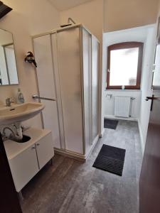 uma casa de banho com um chuveiro e um lavatório. em Klein aber fein! em Emskirchen