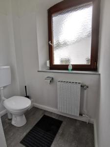 a bathroom with a toilet and a window at Klein aber fein! in Emskirchen