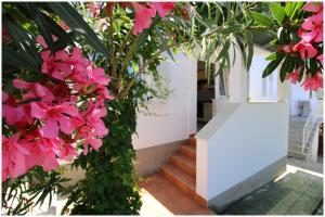 Gallery image of Studio Apartman Elena in Primošten