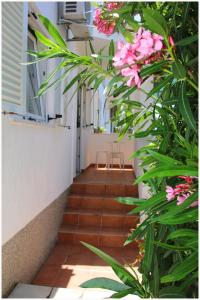 Gallery image of Studio Apartman Elena in Primošten