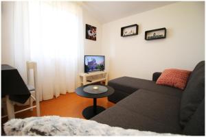 TV a/nebo společenská místnost v ubytování Studio Apartman Elena