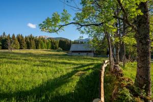 een veld met een schuur en bomen en een hek bij Holiday Home Srednja vas in Srednja Vas v Bohinju