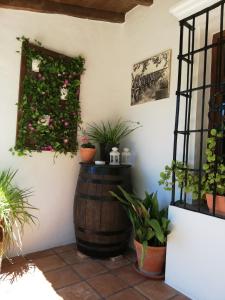 Kép Casa Rural La Maquinilla szállásáról Grazalemában a galériában