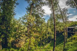 Paesaggio naturale nelle vicinanze dell'hotel