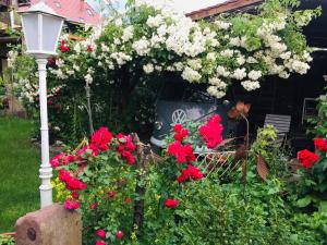 einen Garten mit roten und weißen Blumen und einem Straßenlicht in der Unterkunft Landhotel Elfenhof in Immenstaad am Bodensee