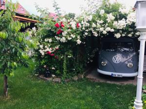 samochód zaparkowany obok żywopłotu z kwiatami w obiekcie Landhotel Elfenhof w mieście Immenstaad am Bodensee