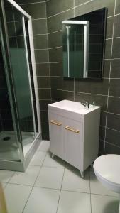 メスにあるAppartement du Pompidouのバスルーム(シンク、シャワー、トイレ付)