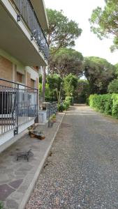 Imagen de la galería de APPARTAMENTI Il rosmarino, en Castiglione della Pescaia