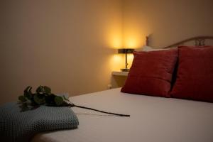 メディナ・シドニアにあるApartamento Torreonの赤い枕と植物を使ったベッド