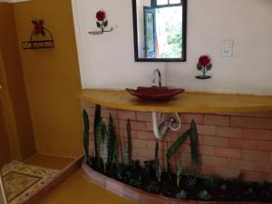 a bathroom with a sink and a counter with cactuses at Pousada Rancho Flores in Caeté