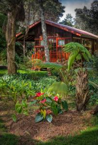 dom z drzewami i kwiatami przed nim w obiekcie Crater Rim Cabin w mieście Volcano