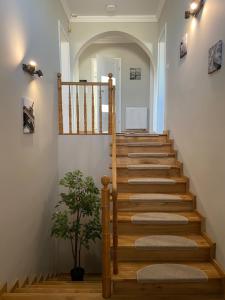 Zdjęcie z galerii obiektu Apartamenty Starowiejska w Gnieźnie