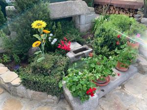 CASA Rural LAGUARTA - Restaurante, Laguarta – Updated 2022 Prices