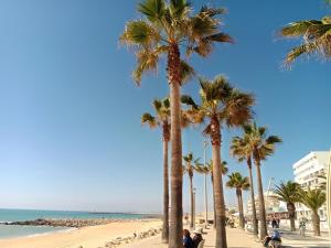 a group of palm trees on a beach at Nautic in Quarteira