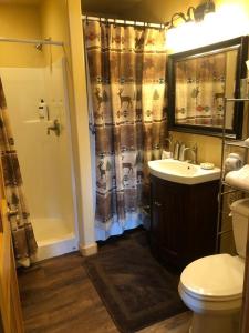 a bathroom with a sink and a toilet and a shower at Alpaca Inn in Lava Hot Springs