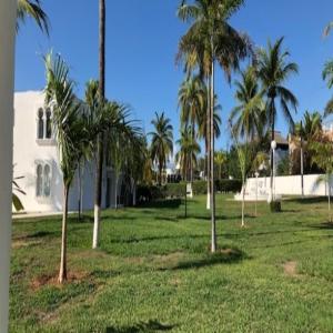 a yard with palm trees and a white house at Hotel Aldea del Bazar & Spa in Puerto Escondido