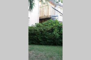 Κήπος έξω από το Studio Cosy Douillet et Fonctionnel