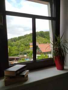 Príroda v okolí apartmánového hotela