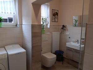 ein kleines Bad mit WC und Waschbecken in der Unterkunft am Erxleben-Hotel in Quedlinburg