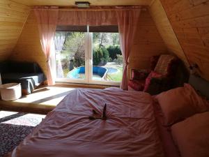 a room with a bed and a window with a view of a pool at Chata pod lesem in Rýmařov